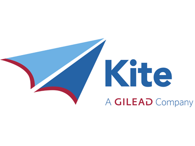Kite